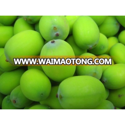 Fresh white lotus seeds,red lotus nuts for sale with wholesale price